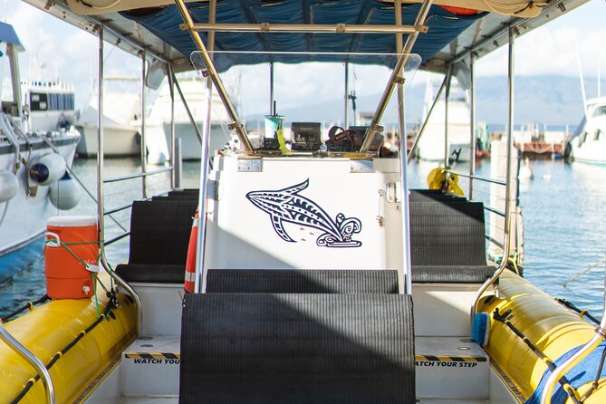 2.5 Hour Whale Escape Tour - The onboard marine naturalist: learning while you watch