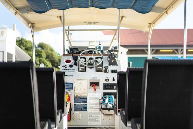 2.5 Hour Whale Escape Tour - Price and value: is $177 worth it?