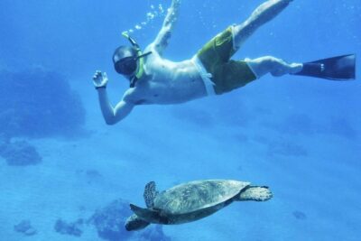 2.5 Hour Xpress Snorkel from Ka’anapali Beach - Where you start: Ka’anapali Beach and the Sea Maui check-in