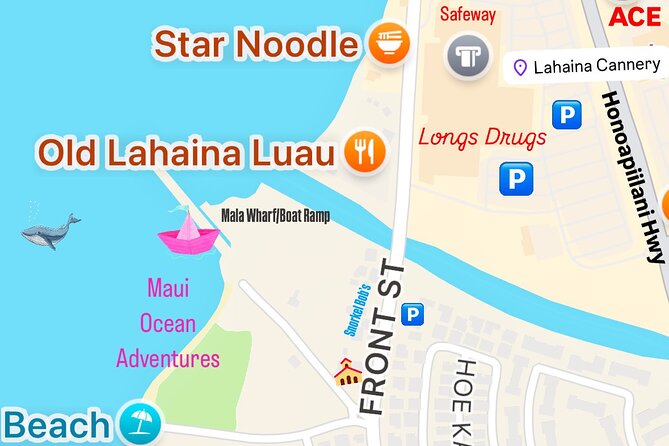 2 hour Lahaina Sunrise Whale Watch - Who this tour suits best on Maui