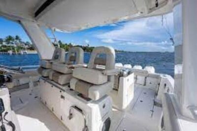 2-Hour Ma'alaea Humpback Whale Watching Cruise for up to 6 Guests - Checking in at the 1910 Maalaea General Store and your $10 credit