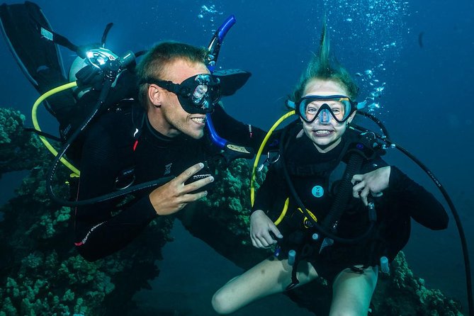 2-Tank Maui Turtle Scuba Dive or Snorkel Boat Tour - Quick Key Points Before You Go