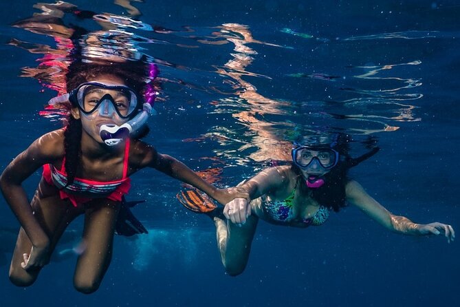 2-Tank Maui Turtle Scuba Dive or Snorkel Boat Tour - A Small-Group Turtle Tour From Lahaina That Feels Personal