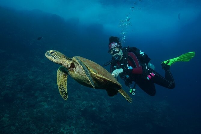 2-Tank Maui Turtle Scuba Dive or Snorkel Boat Tour - Boat Deck Time: Snorkel With the Group, Relax Between Sessions