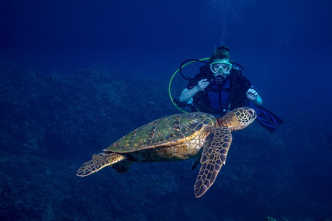 2-Tank Maui Turtle Scuba Dive or Snorkel Boat Tour - Who This Is Best For (and who should choose a different Maui option)