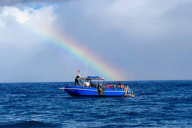3-Tank Dive Featuring the Molokini Crater - Three tanks in 4.5 hours: the pacing that makes it feel efficient