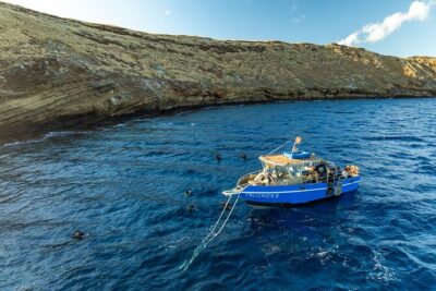 3-Tank Dive Featuring the Molokini Crater - Start time and boat reality: what the early Kīhei departure means