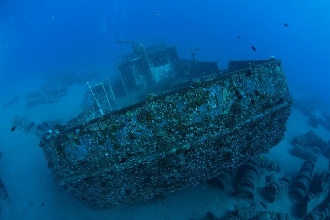 3-Tank Dive Featuring the Molokini Crater - What “advanced” really means here: the hard requirements you must meet