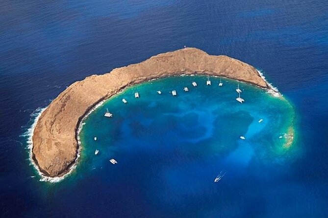 4-Hour Koa Kai Molokini Adventure Snorkel - Key highlights before you go