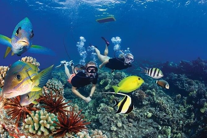 4-Hour Koa Kai Molokini Adventure Snorkel - The other snorkeling stops: where you’ll get variety without extra planning