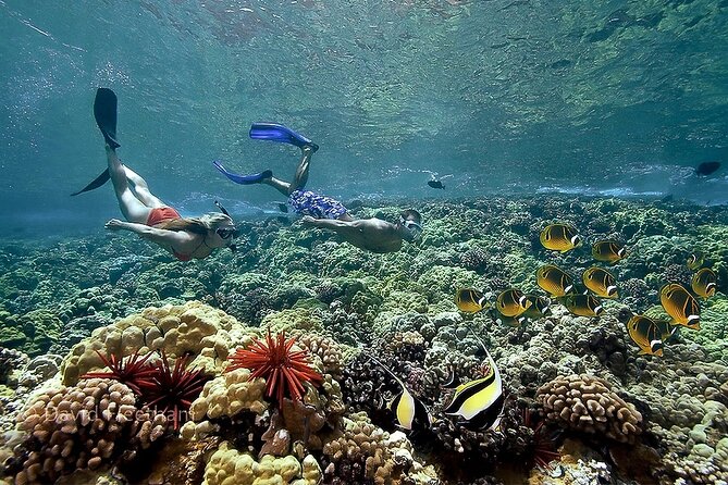 4-Hour Koa Kai Molokini Adventure Snorkel - Food and small comforts: banana bread, dry snacks, and the ride vibe
