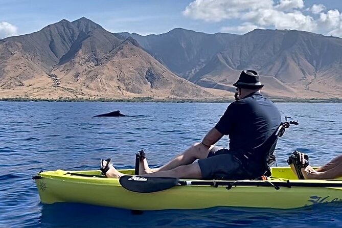 4 hour Private Custom Kayak Tour Lahaina - What’s included (and how that boosts value)