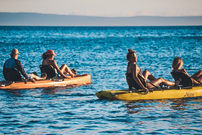 4 hour Private Custom Kayak Tour Lahaina - What you should bring so the day doesn’t get annoying