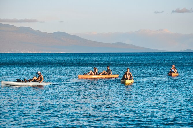 4 hour Private Custom Kayak Tour Lahaina - Wildlife time: the best way to spot whales without turning it into work