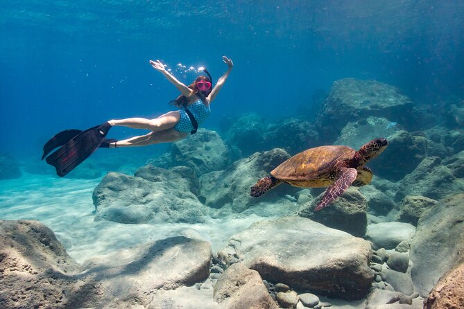 4 hour Private Custom Kayak Tour Lahaina - Your custom mix: whales, Turtle Gardens snorkeling, and bottom fishing