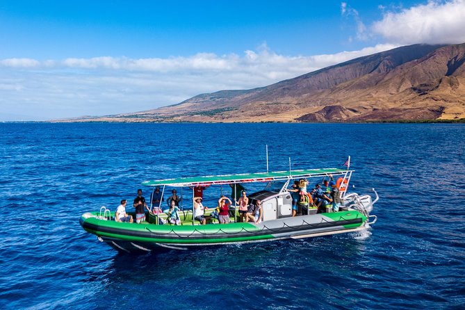 Afternoon Adventure Snorkel from Ka'anapali - What You Can See: Turtles, Colorful Reef Fish, and More