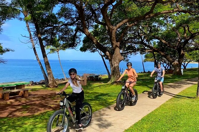 Aloha West Maui 2-Hour Self-Guided Electric Bike Tour - Price and Value: Why This Short Ride Can Feel Worth It