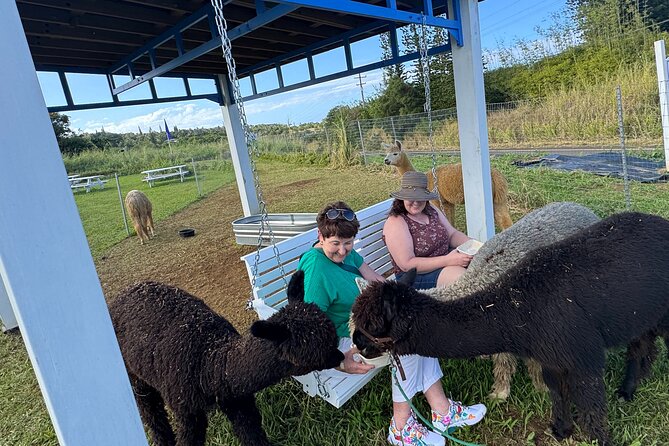 Alpaca Farm Experience on the Road to Hana - The pasture walk: why the pace matters