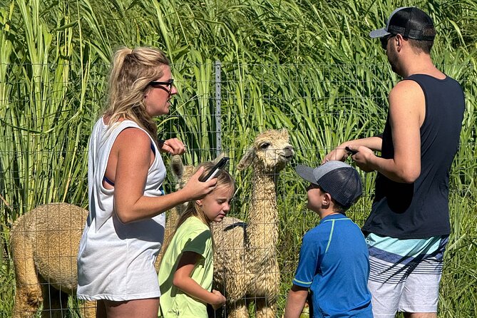 Alpaca Farm Experience on the Road to Hana - Price and value: is $49 per person worth it?