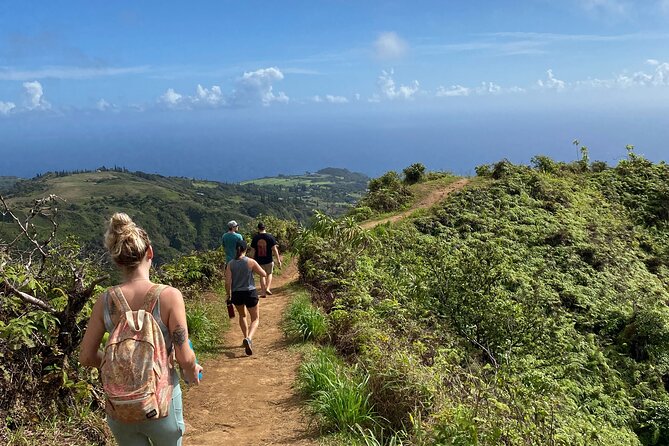 Amazing Maui Ridge Hike - Why Waihee Ridge at 7AM Is the Best Kind of Planning