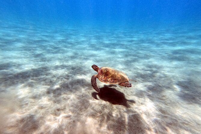 Certified Divers! Scuba dive the Ka'anapali Coast and more! - Safety culture: why the Sarah-and-Deborah style matters