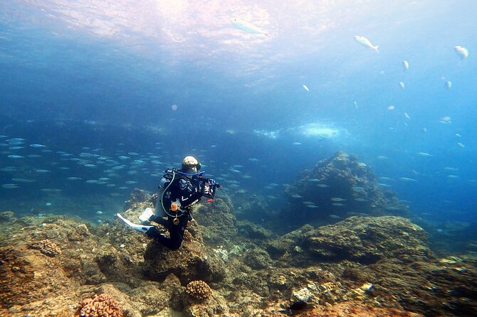 Certified Divers! Scuba dive the Ka'anapali Coast and more! - Price and value: is $169 a smart deal?