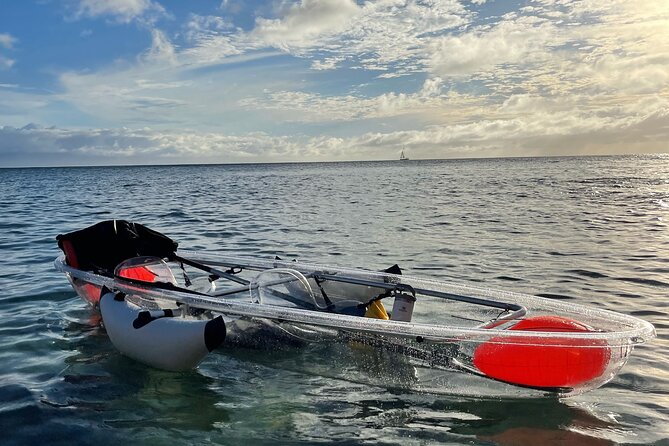 Clear Bottom Glassy Kayak Rental | MAUI | Safe and Stable Kayaks - Service details that add real value: clean gear, patient help, and free pick-up
