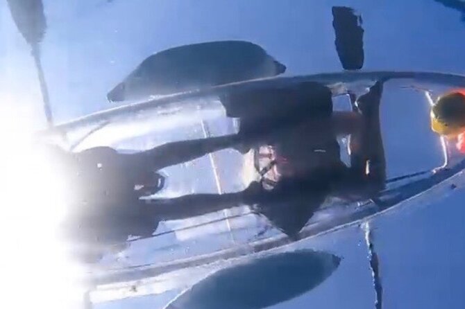 Clear Bottom Glassy Kayak Rental | MAUI | Safe and Stable Kayaks - Who this kayak rental fits best (and where it may not)