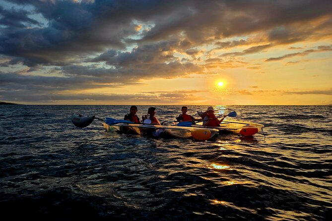 Clear Kayak Sunset and Glow Tour in Maui - A clear kayak is the whole point on Maui’s coast