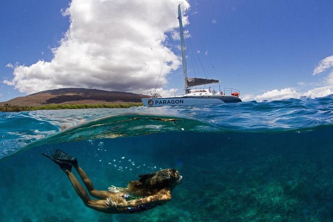 Coral Gardens Coastal Snorkel & Sail - Key things I’d circle before you book