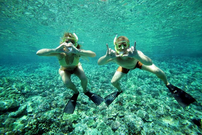 Coral Gardens Coastal Snorkel & Sail - Drinks and lunch onboard: simple, included, and part of the fun