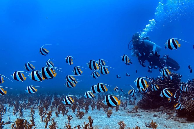 Custom Private Adventure - How Long You Spend Afloat: 2 to 7 Hours, Your Way