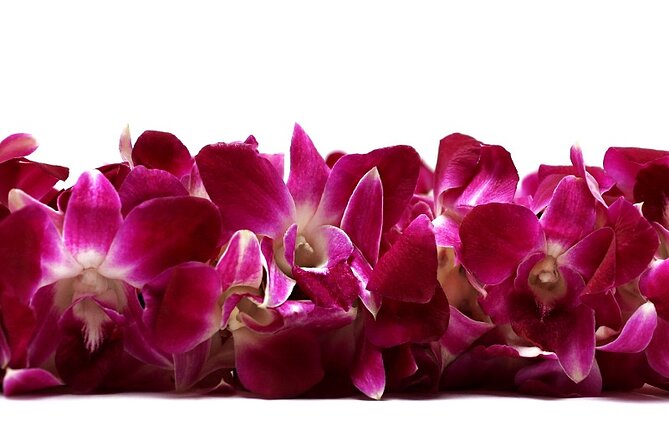 Deluxe Orchid Lei Greeting (Maui, Kahului Airport, OGG) - Key things that make this Maui lei greeting worth it