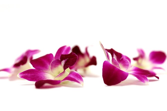 Deluxe Orchid Lei Greeting (Maui, Kahului Airport, OGG) - A simple plan for your first minutes in Maui