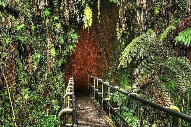 Deluxe Road to Hana Rainforest and Waterfall Experience from Maui - Lunch, snacks, and what to pack for a wet-and-windy day