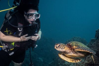 Discover Scuba Diving Class from Lahaina - The Must-Do Before Arrival: PADI eLearning