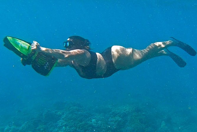 Eco Sea Scooter Guided Beach Tour From The Famous Kapalua Bay - What the guide actually teaches: ecosystem lessons and coral restoration mindset