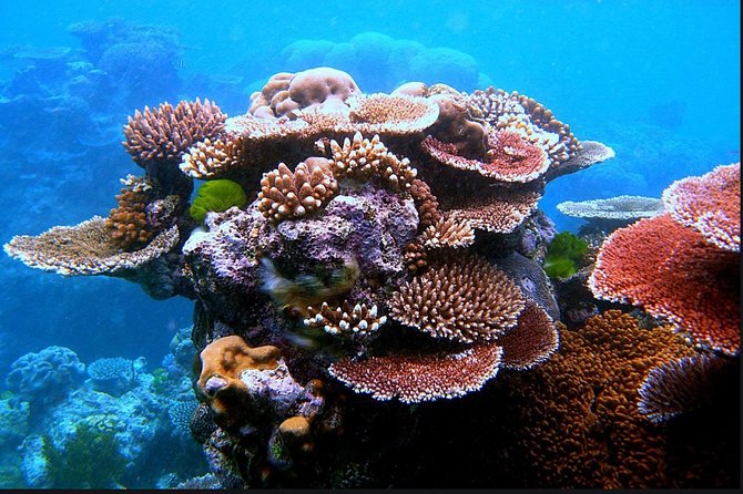 Eco Sea Scooter Guided Beach Tour From The Famous Kapalua Bay - Gear and safety that make this easier for first-timers