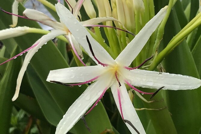 Epic Waterfall Adventure - GO PRO 13 footage included - Cliff Jumping Options: When It’s Worth It (and When It’s Not)