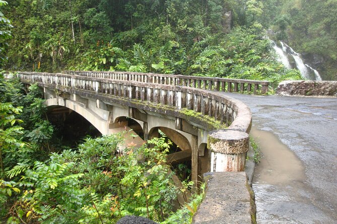 Famous Road to Hana Waterfalls, Black Sand Beach & Lunch - Price and value: is $245.99 per person worth it?