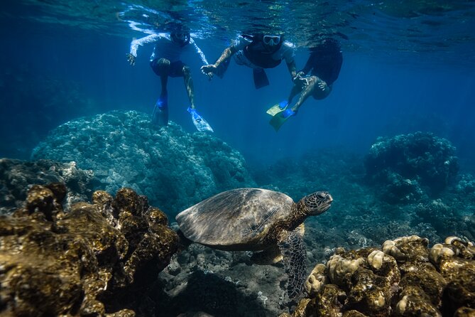 First Timers and Non-Swimmers Snorkeling Experience in Wailea - Once you’re in: the real “2 hours” expectation