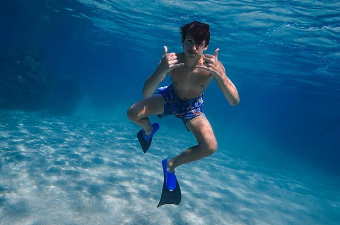First Timers and Non-Swimmers Snorkeling Experience in Wailea - What you’ll see off Wailea: coral life and sea turtles near rock formations