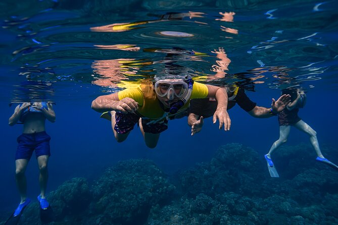 First Timers and Non-Swimmers Snorkeling Experience in Wailea - Underwater photos and video: what’s included vs. what costs extra