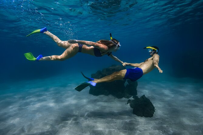 First Timers and Non-Swimmers Snorkeling Experience in Wailea - Price and value: is $139 fair for beginners?