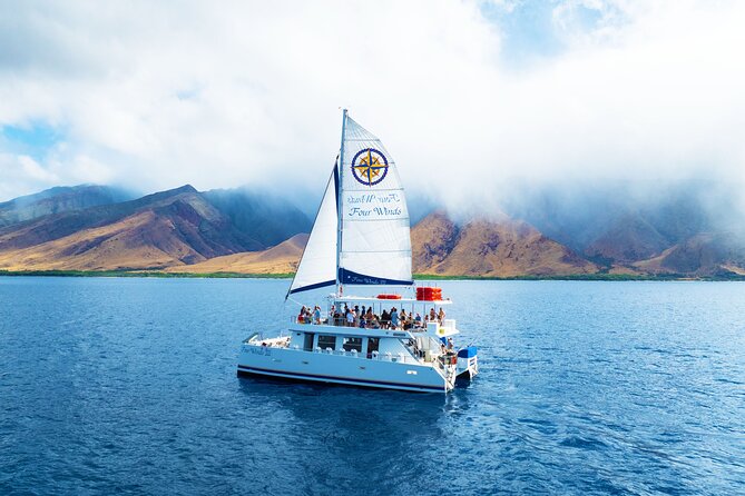 Four Winds Maui Afternoon Snorkel Tour to Coral Gardens - How The Half-Day Schedule Fits Real Maui Time