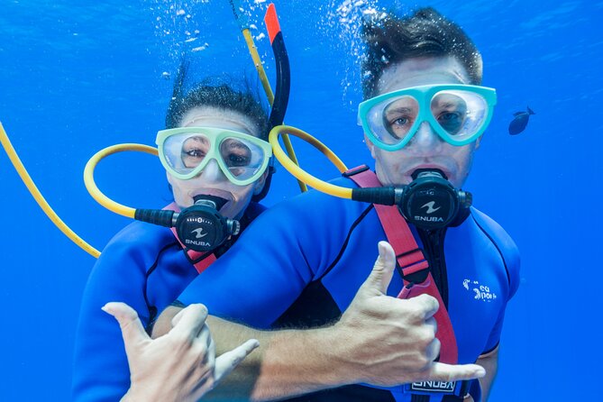 Four Winds Maui Afternoon Snorkel Tour to Coral Gardens - Coral Gardens Snorkeling: Sea Turtles and Real Reef Expectations