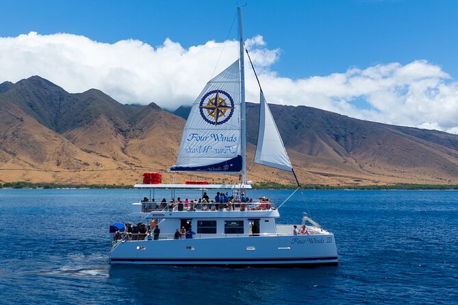 Four Winds Maui Afternoon Snorkel Tour to Coral Gardens - Four Winds and Gear Included: Why This Setup Works