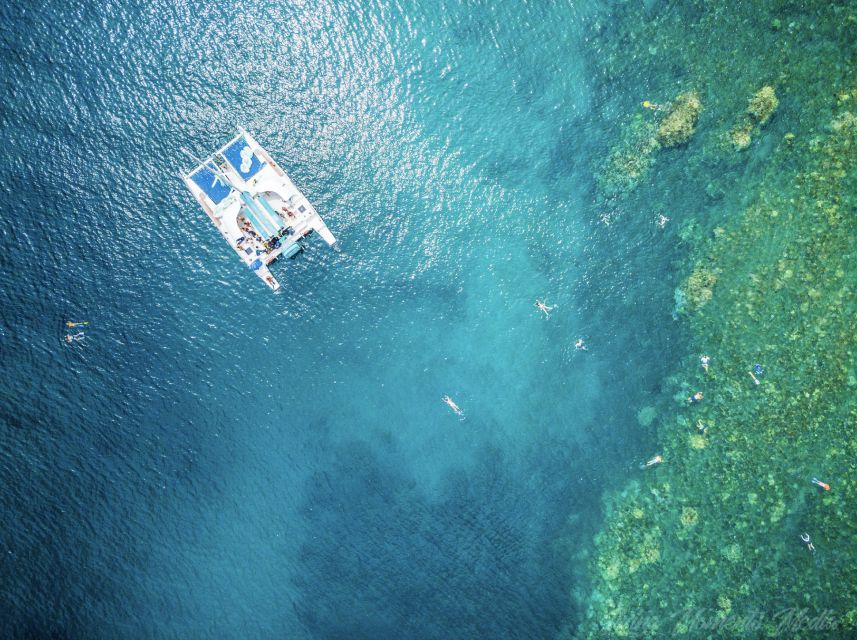 From Kaanapali: Afternoon West Maui Snorkeling w/ Drinks - Green sea turtles, coral reefs, and what you’re likely to see