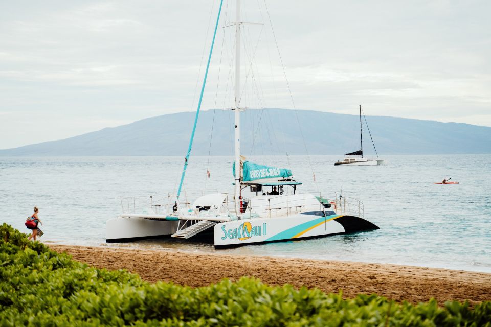 From Kaanapali: Afternoon West Maui Snorkeling w/ Drinks - Tips to make your afternoon smoother