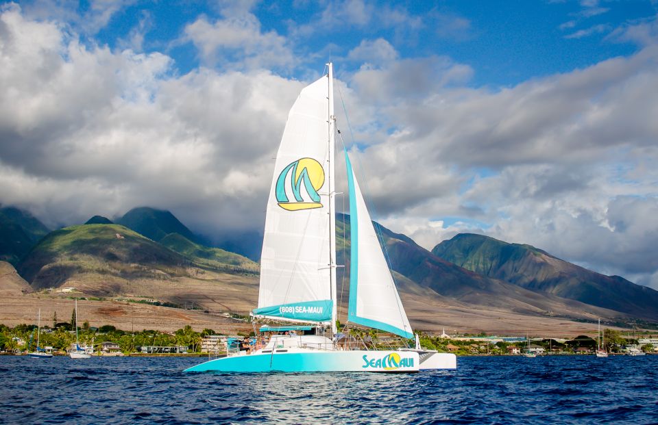From Kaanapali: Afternoon West Maui Snorkeling w/ Drinks - What the 3.5-hour plan feels like, stop by stop